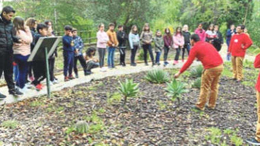 Los escolares de Cobatillas se suman al cambio climático