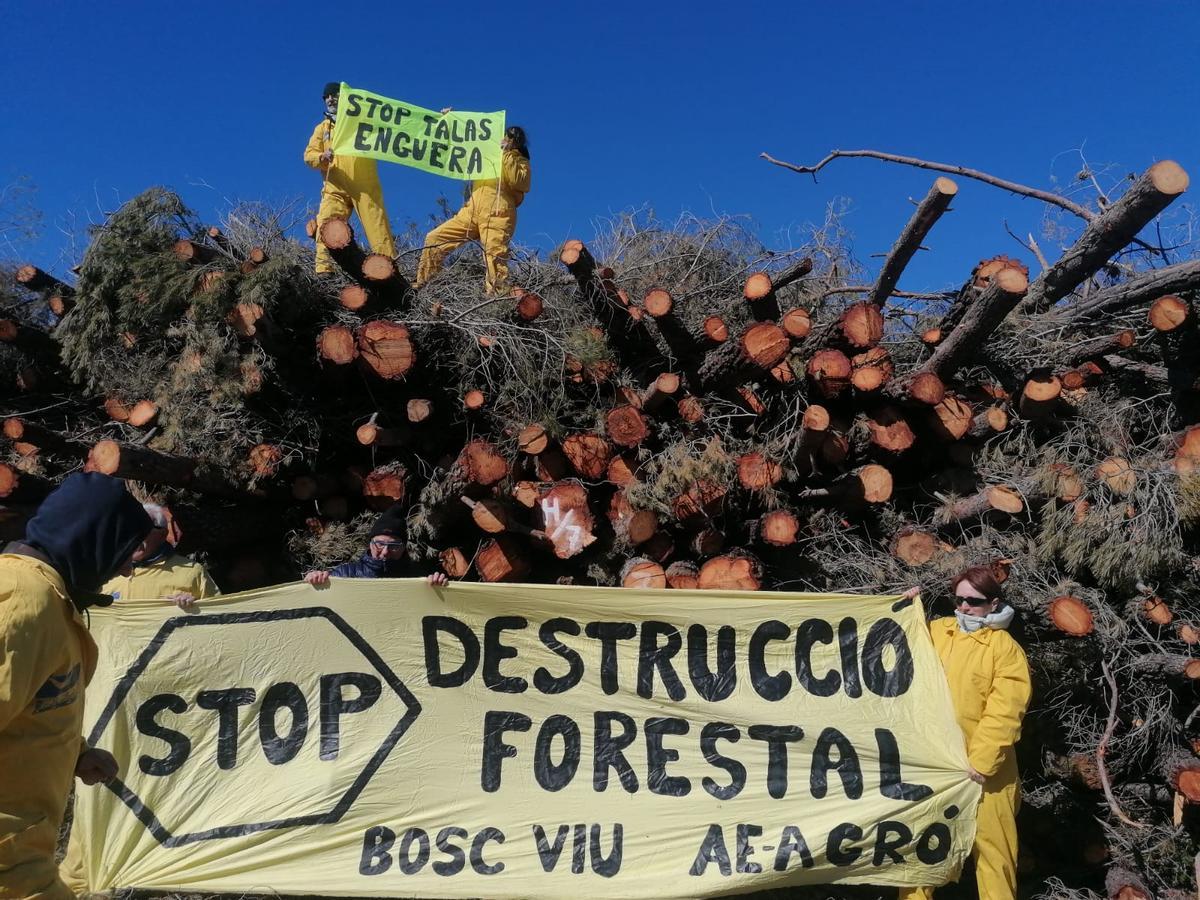 AE-Agró y vecinos ecologistas se manifiestan contra la tala de árboles en la sierra de Enguera.