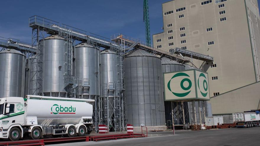 Cobadu celebra su 40 aniversario