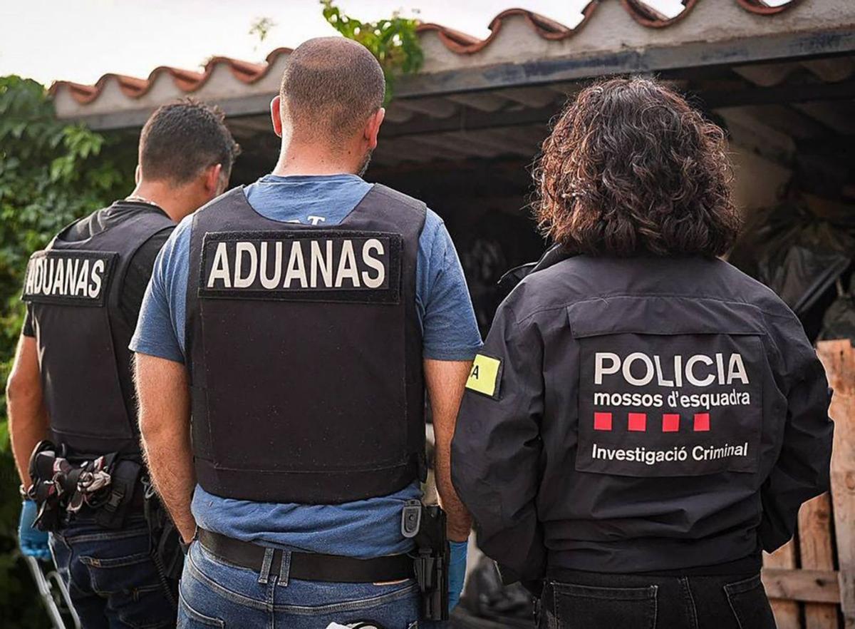 Els Mossos requisen 1,5 milions en droga durant dues operacions Els Mossos requisen 1,5 milions en droga durant dues operacions