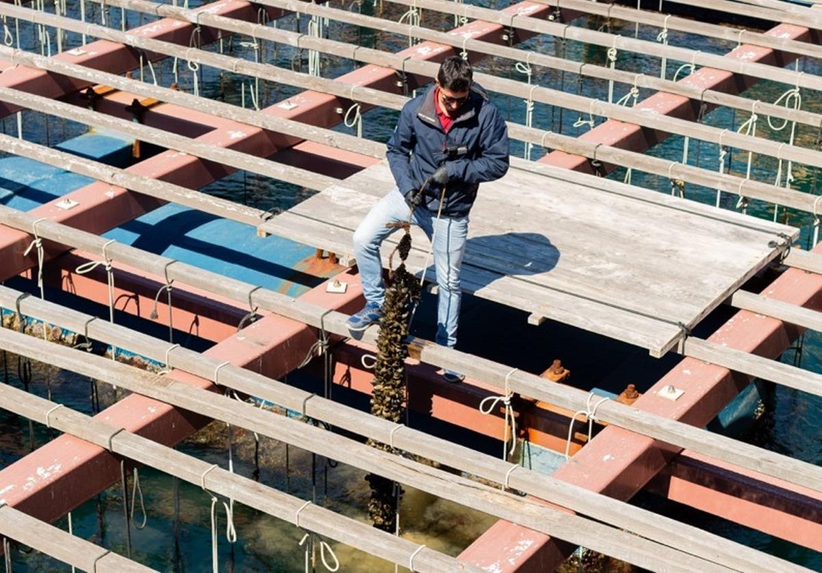 “Un museo en el mar” pone en valor el saber hacer de los clochineros.