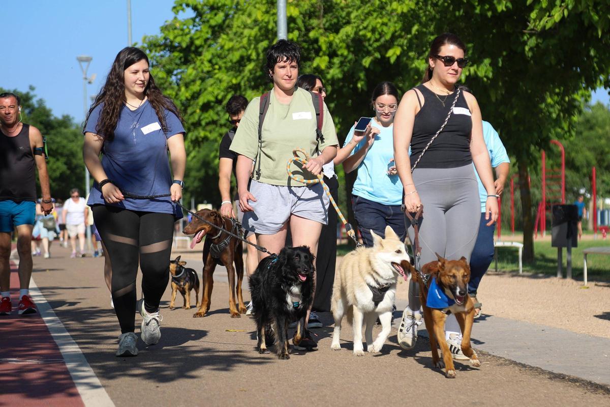 "La salud de nuestras mascotas no debería seguir siendo un lujo prohibitivo"
