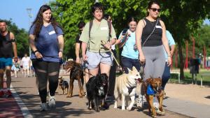 "La salud de nuestras mascotas no debería seguir siendo un lujo prohibitivo"
