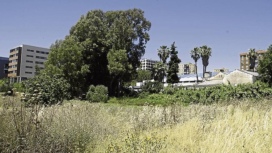 El Ayuntamiento de Badajoz estudia reubicar junto al río la piscina de la margen derecha