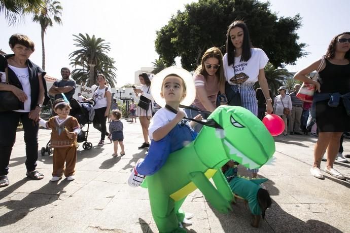 24.02.19. Las Palmas de Gran Canaria. Carnaval 2019. Concurso Carnaval Canino.  Público. Parque de Santa Catalina. Foto Quique Curbelo
