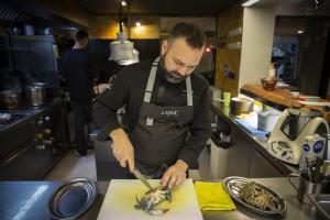 Cuinar espècies invasores, del senglar al coipú: una solució de la gastronomia per a les plagues