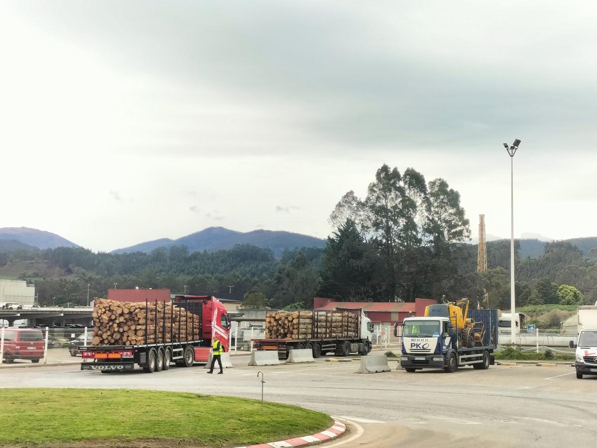 Trasiego de camiones con madera, en la entrada a la fábrica de Ence.