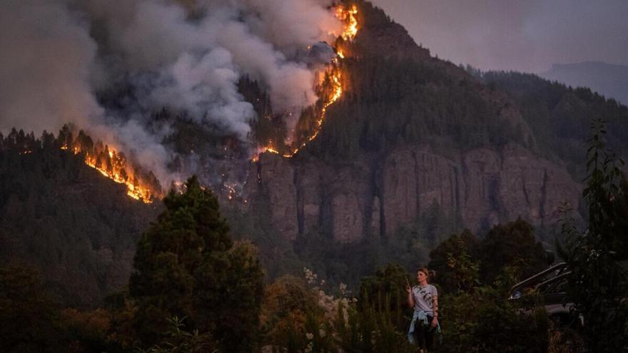 Los efectivos de la BRIF Puntagorda trabajan sobre el incendio de Tenerife