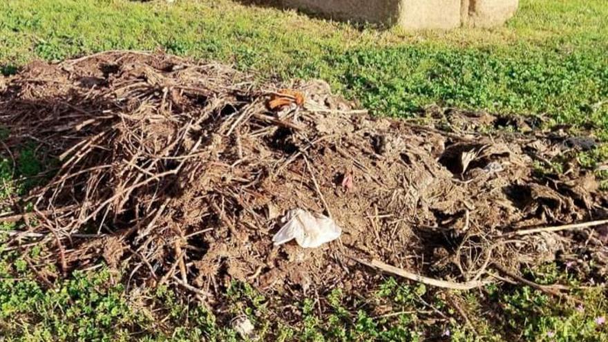 Varias crías de cigüeña muertas tras la caída de un nido del Acueducto de Los Milagros de Mérida