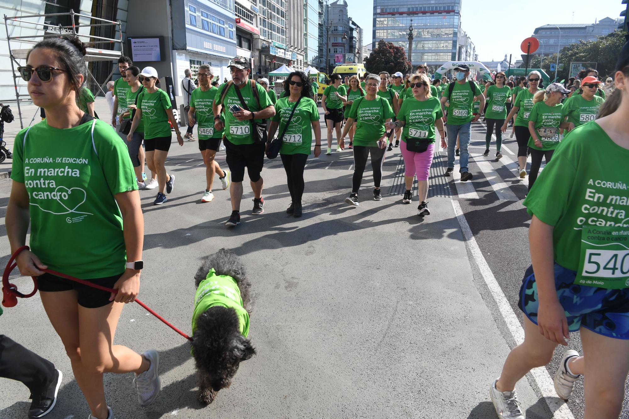 La Carrera contra el Cáncer tiñe de verde la ciudad