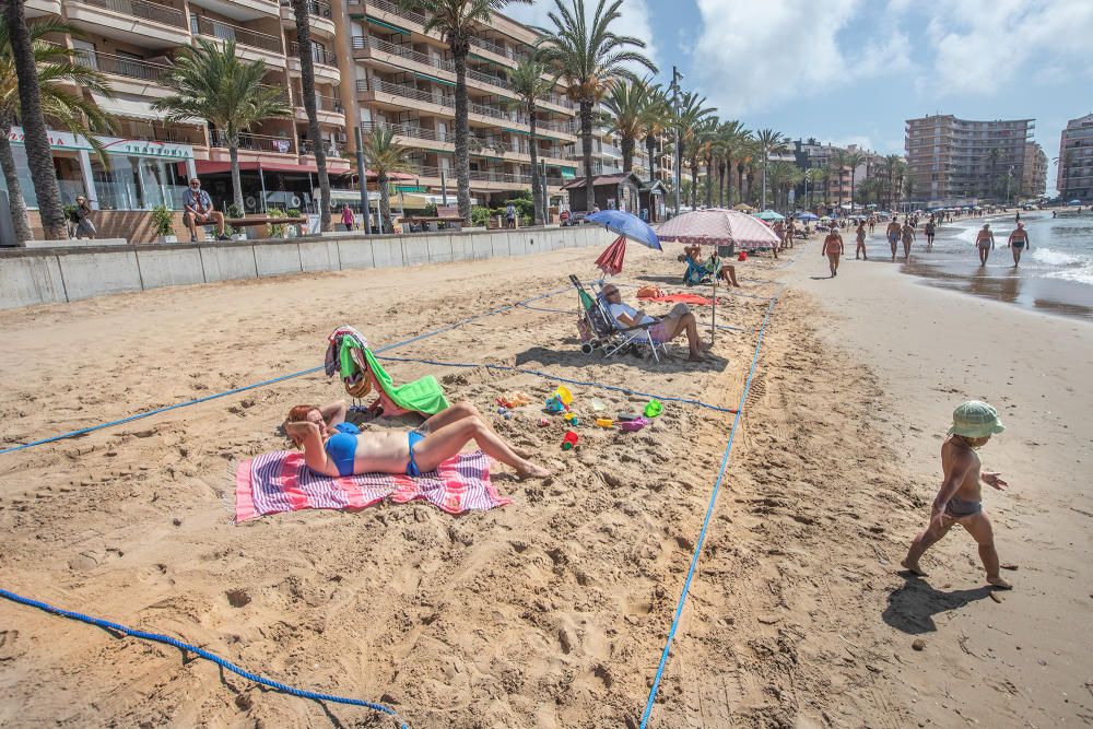 Primer día de baño autorizado en las playas de Torrevieja con arena parcelada y controles de acceso