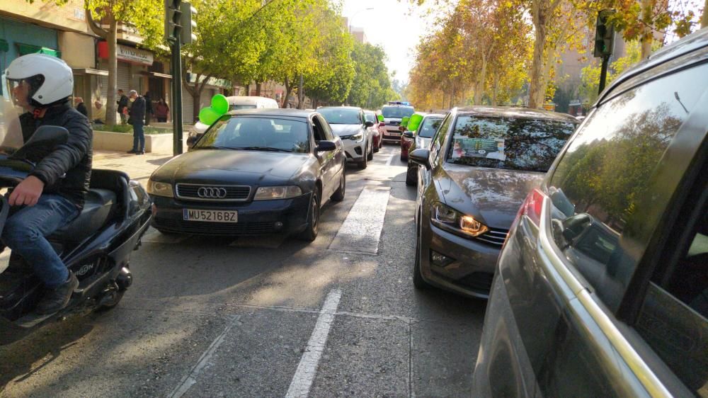 Una marcha teñida de verde y blanco para defender "el bien común"