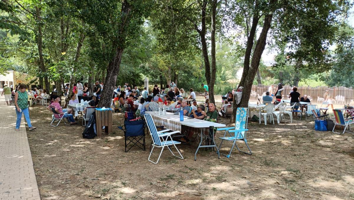 Fiestas tradición y diversión: Sejas.