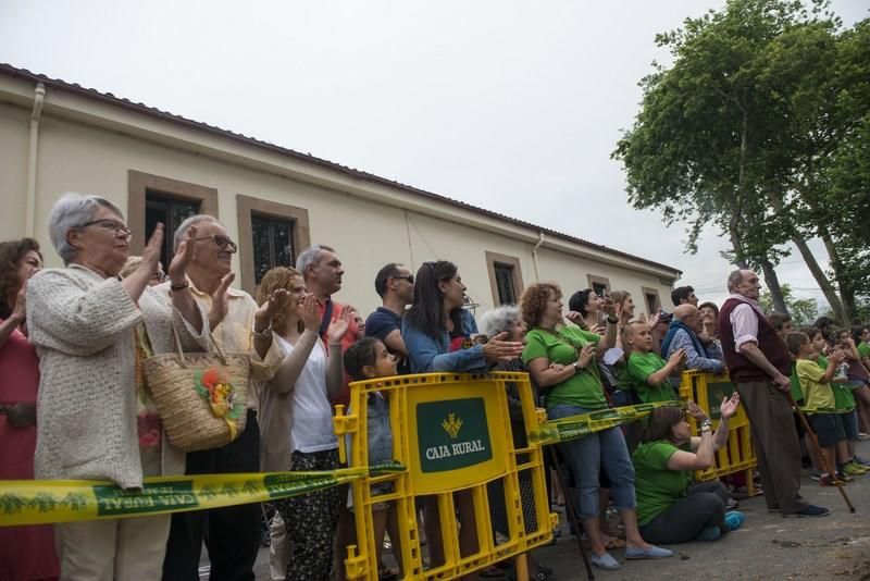 Celoriu planta su hoguera