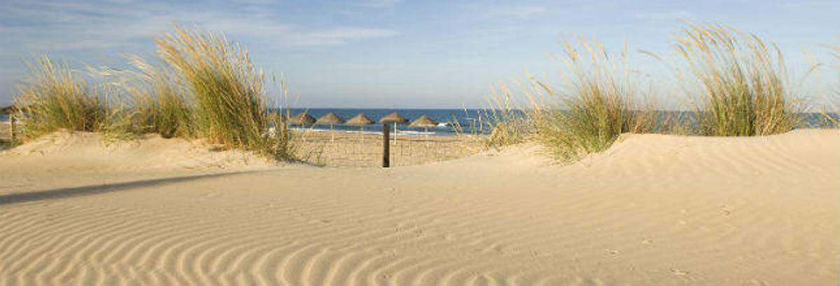 Un día entre arena fina y aguas cristalinas en Guardamar del Segura