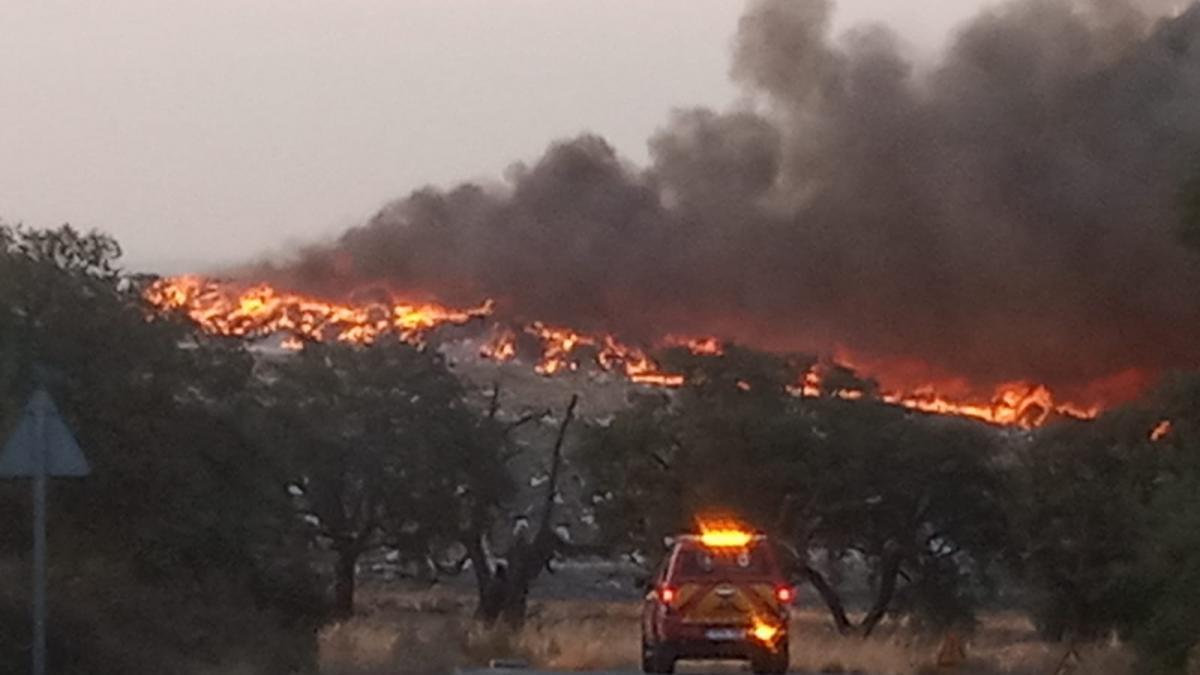 Incendio en el Ecoparque de Badajoz