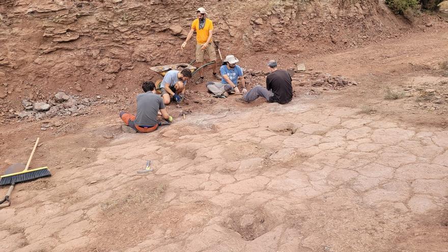 Huellas de saurópodo: otro increíble hallazgo prehistórico en Morella