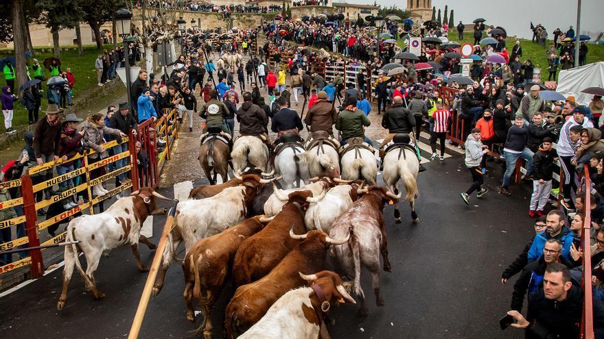 GALERÍA: El encierro a caballo del Carnaval del Toro, en imágenes