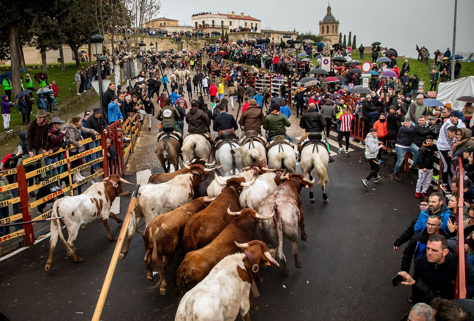 GALERÍA: El encierro a caballo del Carnaval del Toro, en imágenes