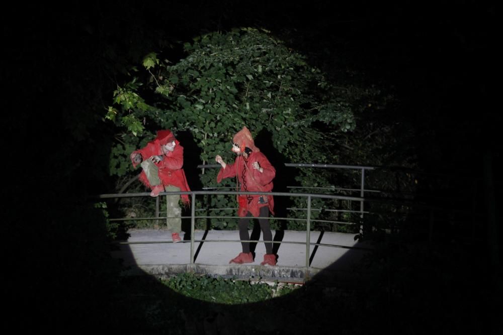 Noches mágicas en el Botánico de Gijón