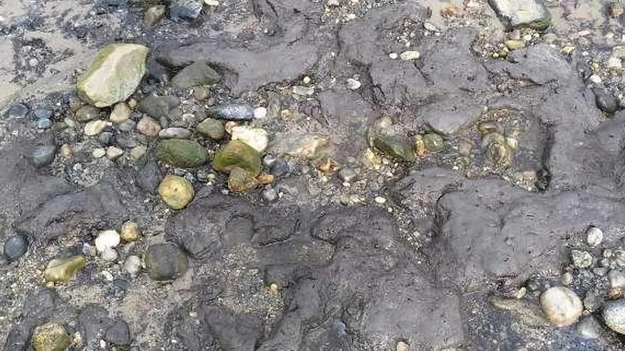 Detalle de la masa negra y blanda que parece ser una turbera.