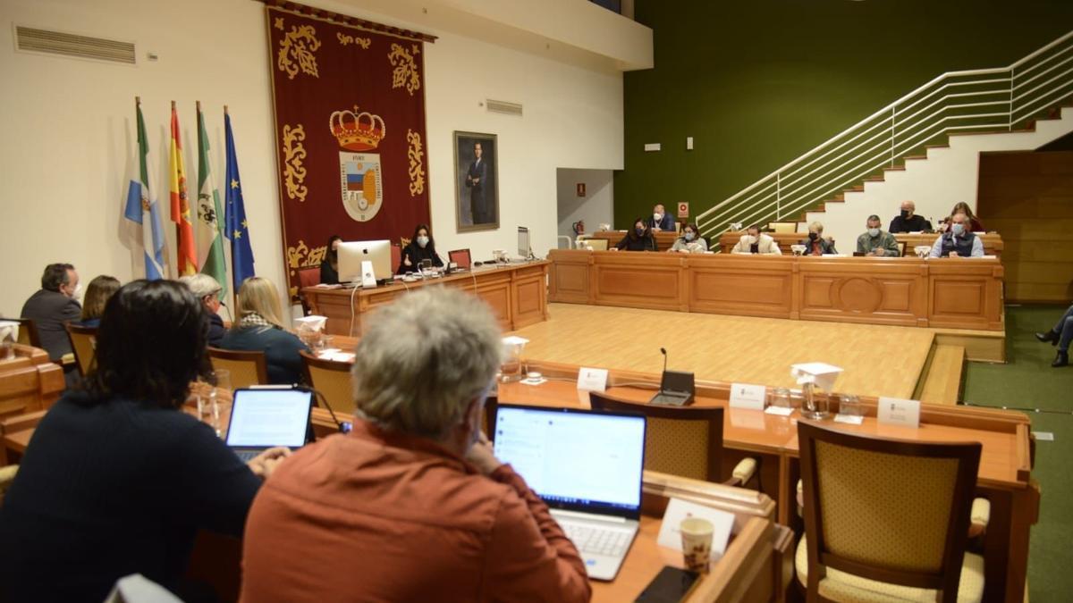 Imagen del pleno de Torremolinos.