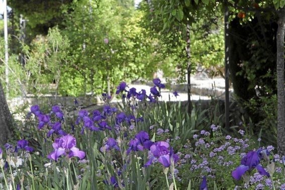 Der Garten von Gritli und Hans Liesenhoff zählt zu den beeindruckendsten Mallorcas. Er vereint Pfl anzenvielfalt und ornamentale Gestaltung mit Philosophie und Poesie.