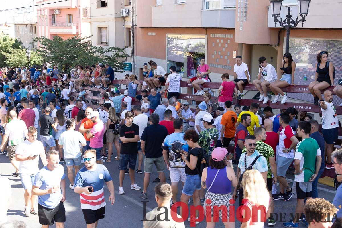 Último encierro en las Fiestas de Moratalla