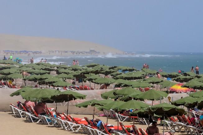 Reportaje excursiones con camellos en las Dunas ...