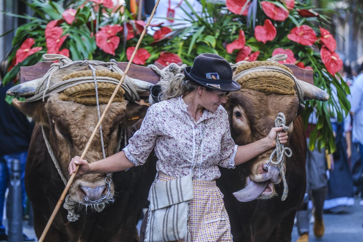 Romería ofrenda a la virgen de La Luz