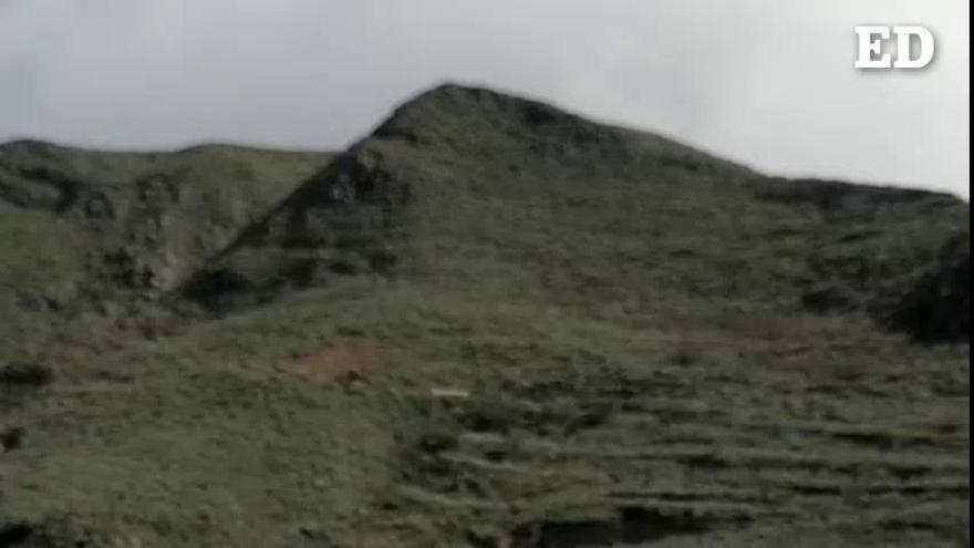 Vídeo: Críticas a dos personas que se van a caminar por Valle Colino, en La Laguna