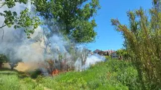 Foc de vegetació a tocar de la llera del riu Llobregat a Navarcles