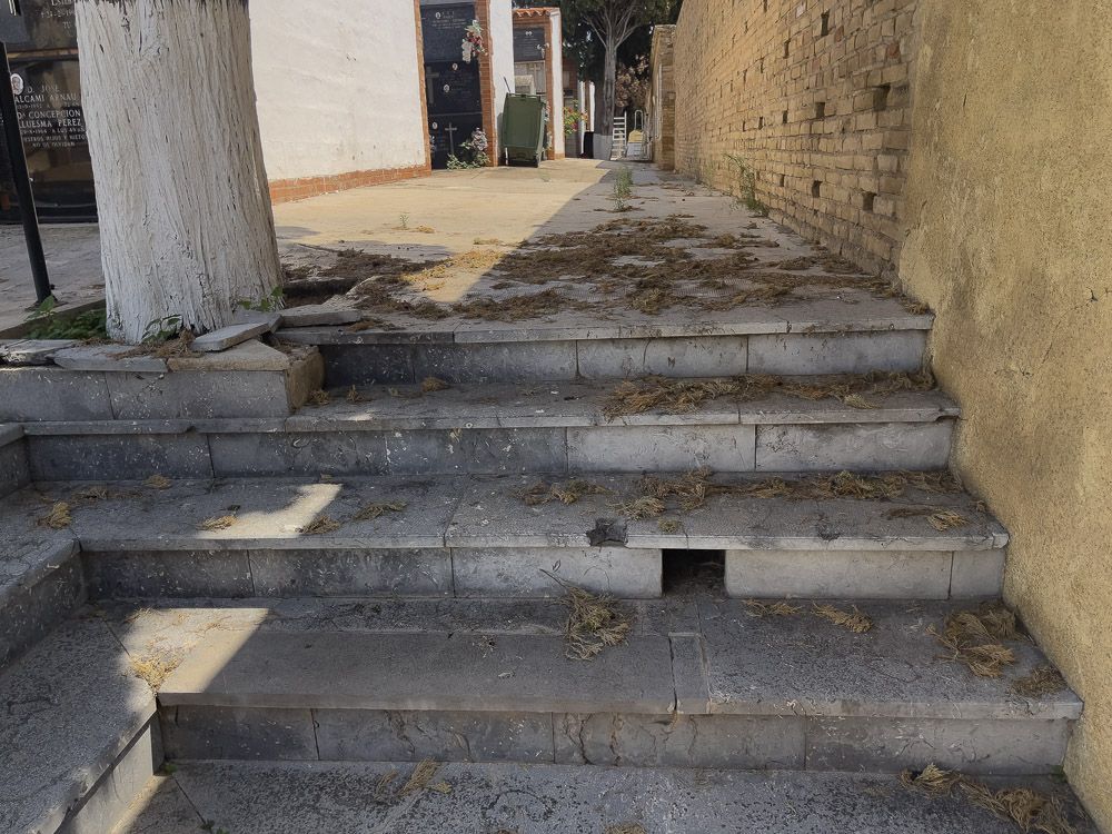 Asignaturas pendientes en los cementerios de Sagunt