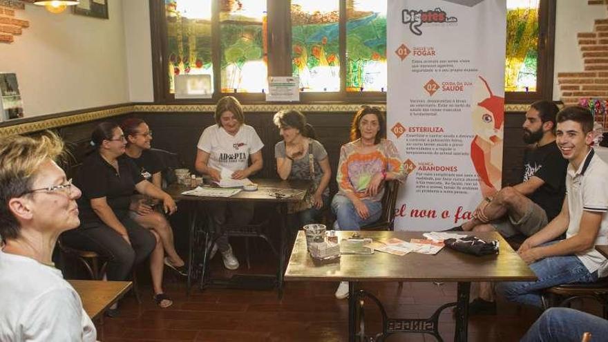 Asistentes a la reunión para abordar las necesidades del colectivo Bigotes. // Bernabé/Ana Agra