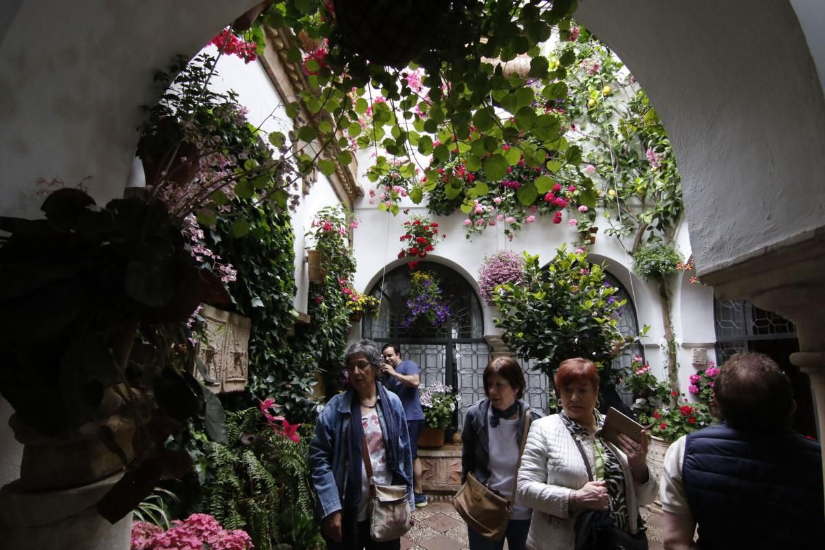 Paseando por el Alcázar Viejo