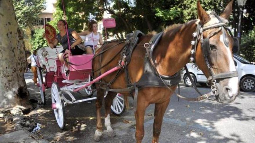 Una calesa parada en la calle Conquistador.