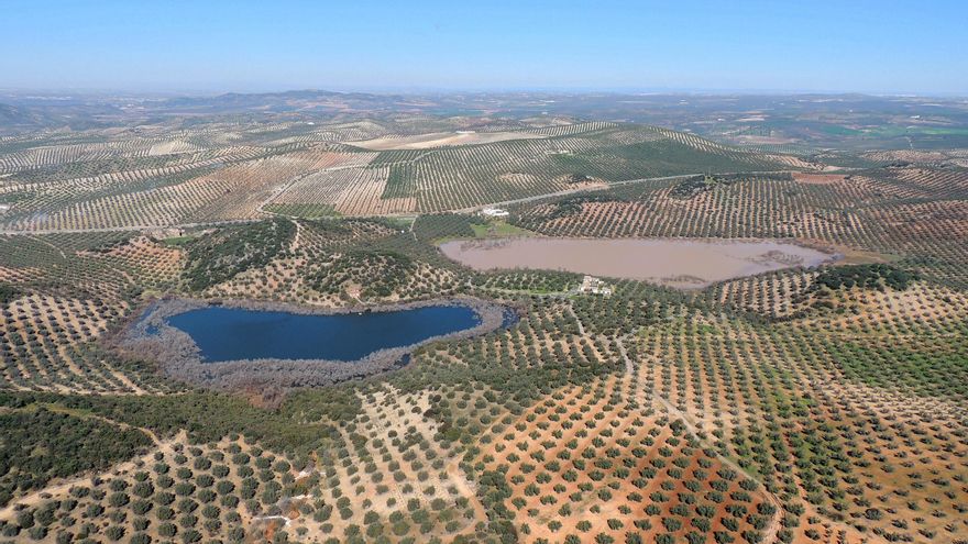 Las lagunas del sur de Córdoba renuevan su reconocimiento internacional como joyas naturales de Andalucía