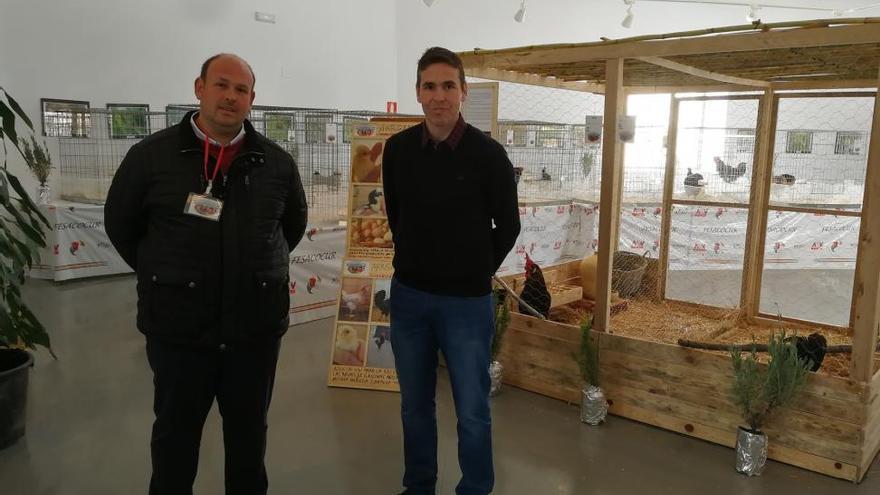 Exposición de razas de gallinas andaluzas en La Asomadilla