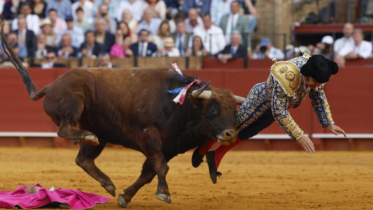 Morante de la Puebla evoluciona favorablemente y pasa a planta tras la grave cornada en la Maestranza