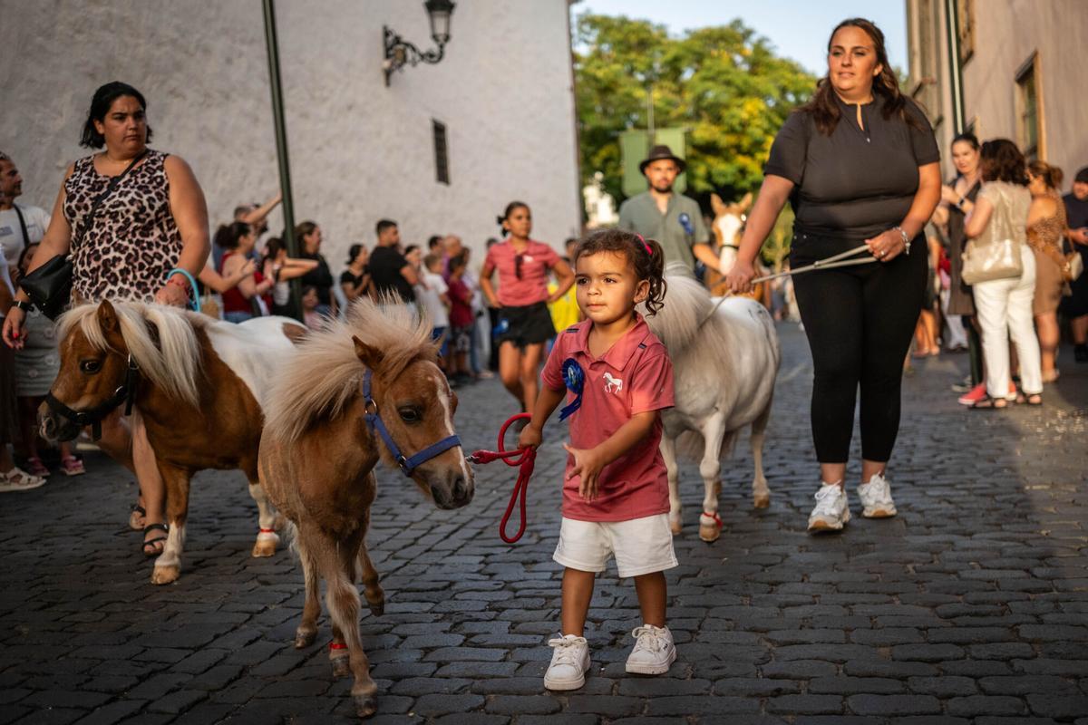 Noche de los Burros en La Laguna