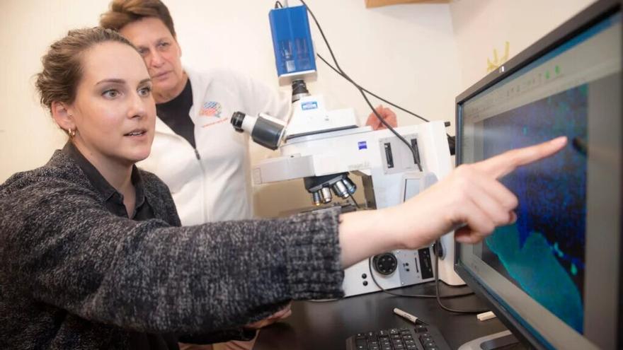 Catherine Dulac (derecha) y la investigadora posdoctoral Jessica Osterhout estudian cómo el cerebro de los ratones controla los síntomas de la enfermedad.