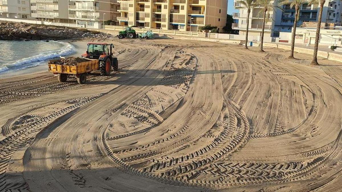 Trabajo de limpieza en una playa de Cullera.