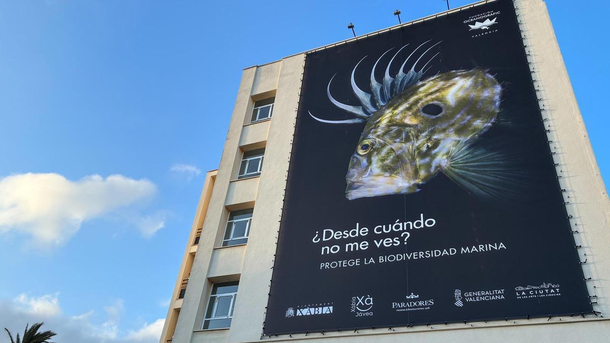 La gran fotografía que ocupa la pared lateral del Parador de Xàbia.
