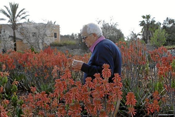 Mallorcas Gärtnereien: Bei "Toni Moreno" in Ses Salines züchtet und vertreibt man Trockenpflanzen.