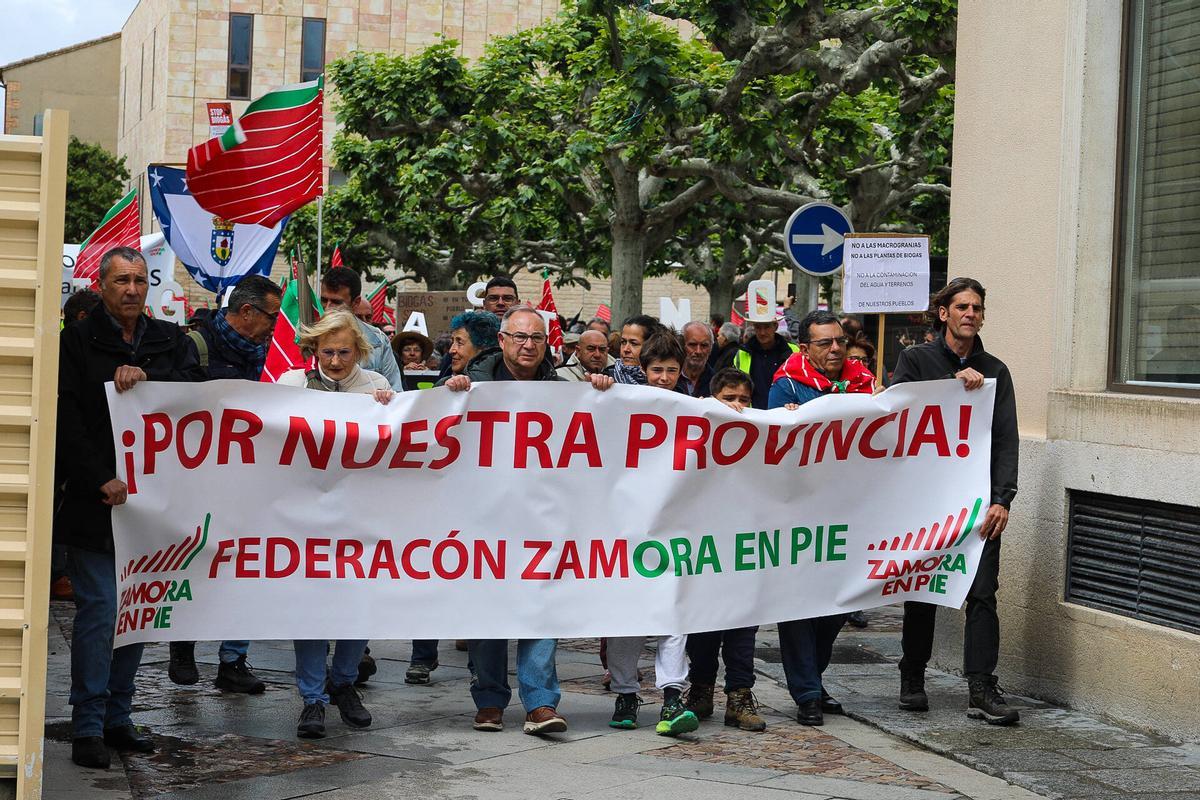 Ni molinos ni biogás: la oposición al nuevo mapa energético convoca a un millar de zamoranos en la capital