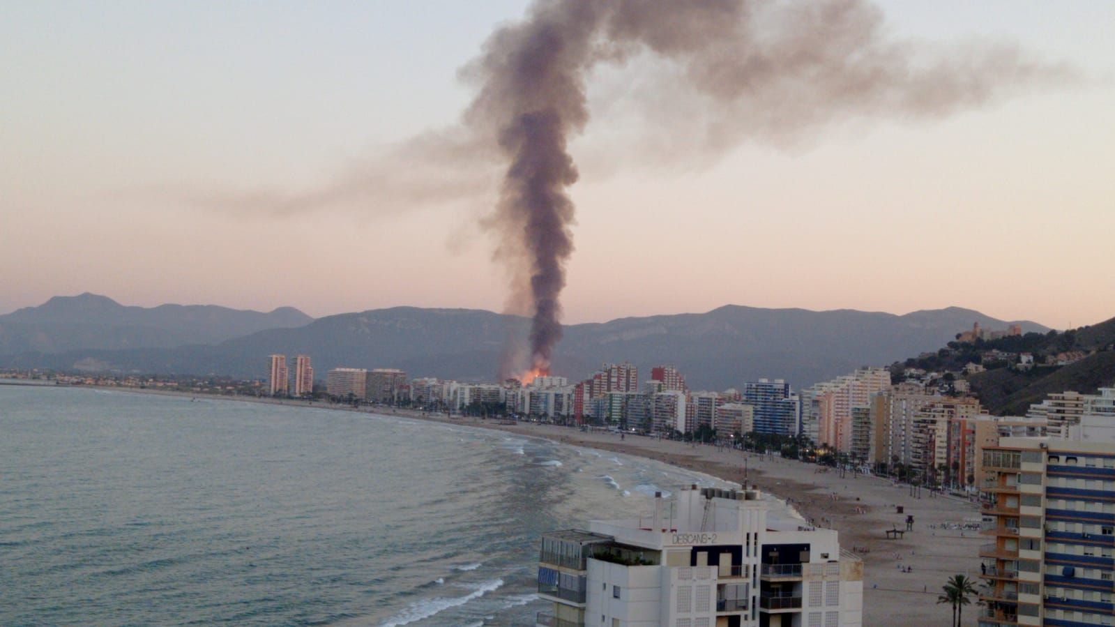 Una gran columna de humo levanta las alarmas por dos incendios declarados en un palmeral de Cullera