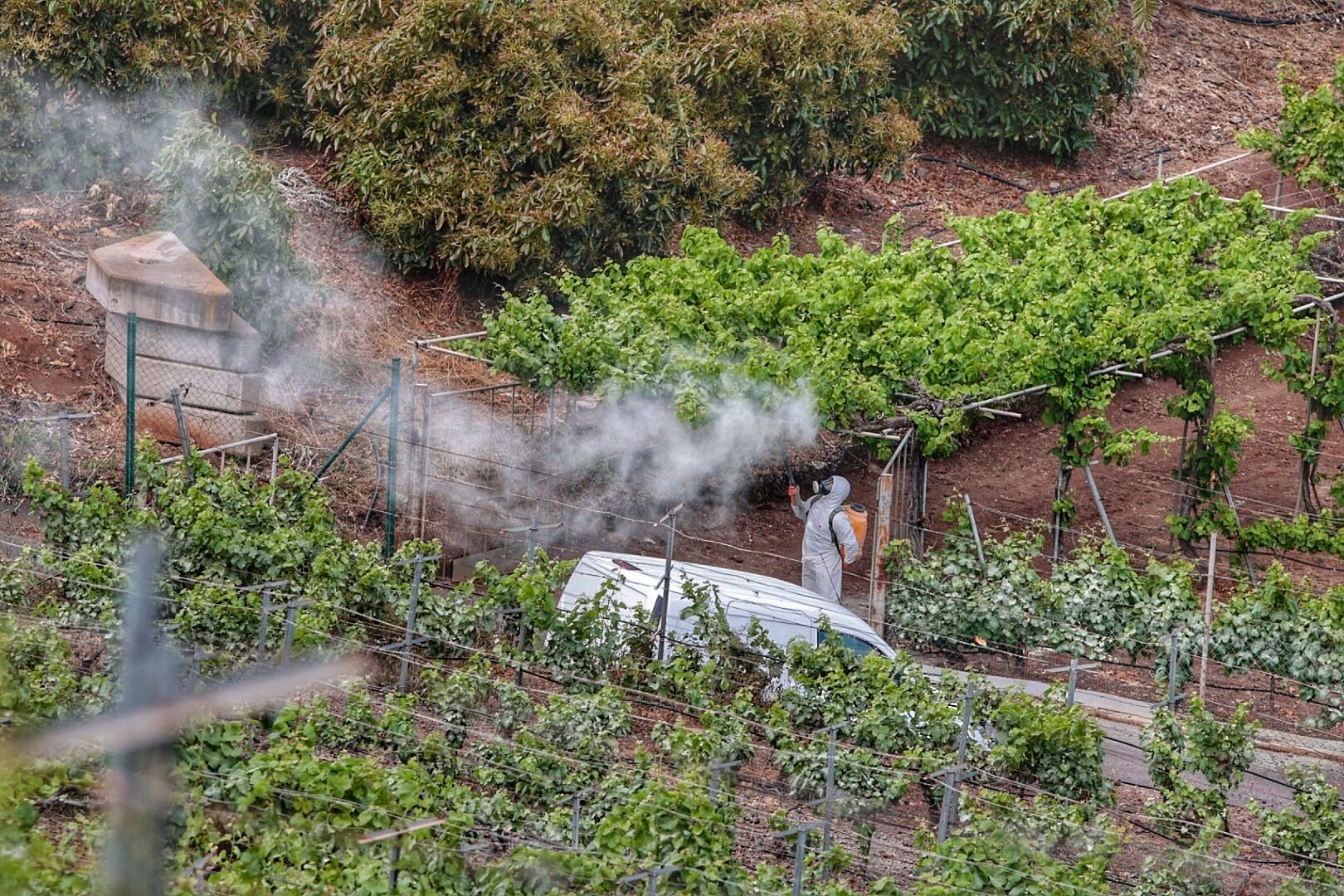 Sector vitivinícola. Bodegas Marba