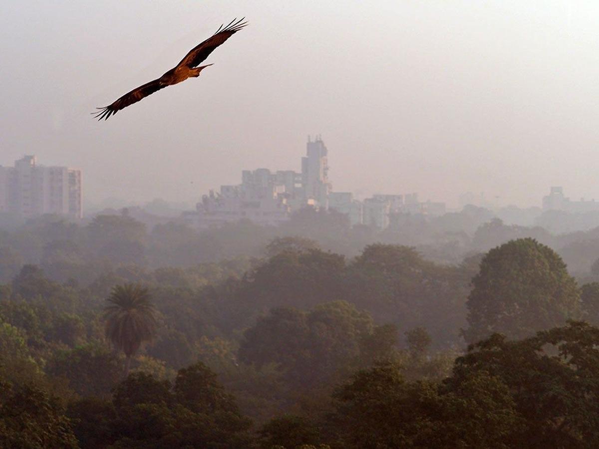 El cielo de Delhi