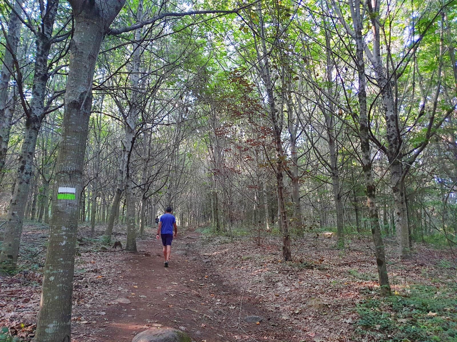 Un Vigo para caminar y perderse: 11 rutas imprescindibles de todos los niveles
