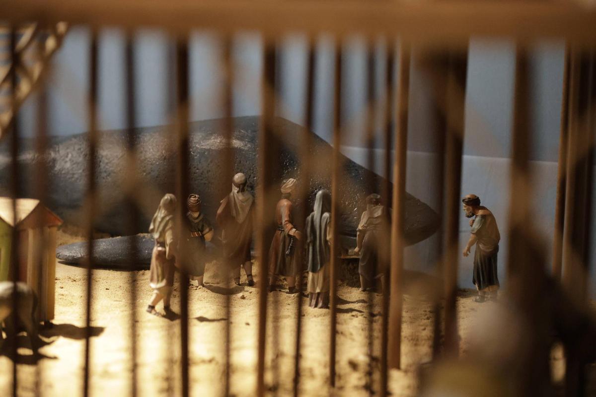 Vista de la ballena.